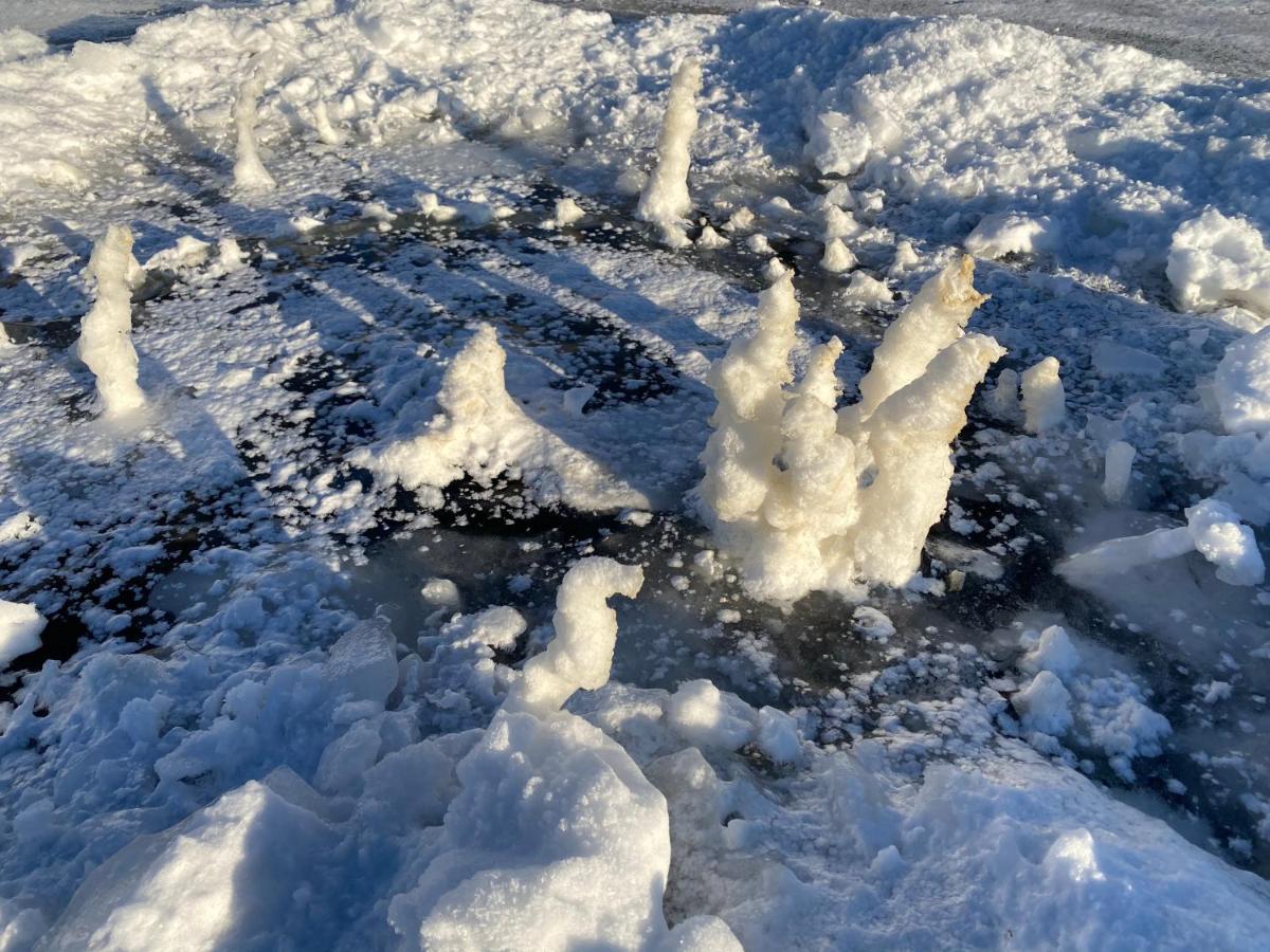 СРЕДНЕВЕКОВАЯ БАШНЯ У ПРУДА В НИЖНЕМ НОВГОРОДЕ - АРТ-ДОМ ЦЕЛИКОМ НА СКЛОНЕ  С СОСНАМИ НИЖНИЙ НОВГОРОД (Россия) | NOCHI